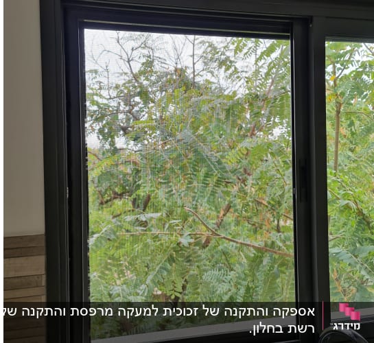 חלון זכוכית עם נוף של עצים ירוקים בחוץ